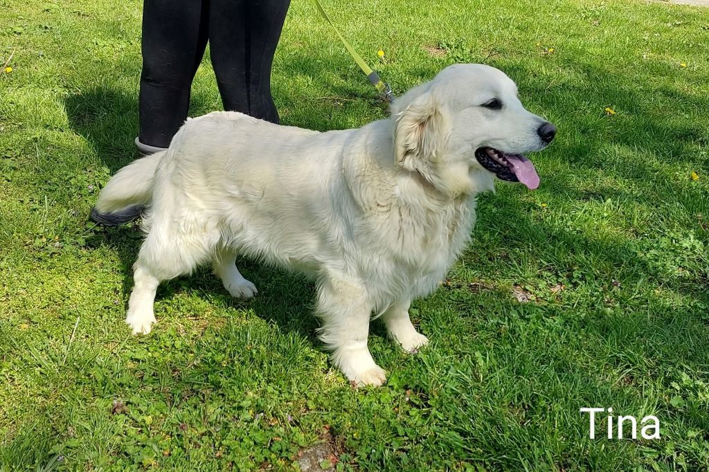 Noble And  White Tina