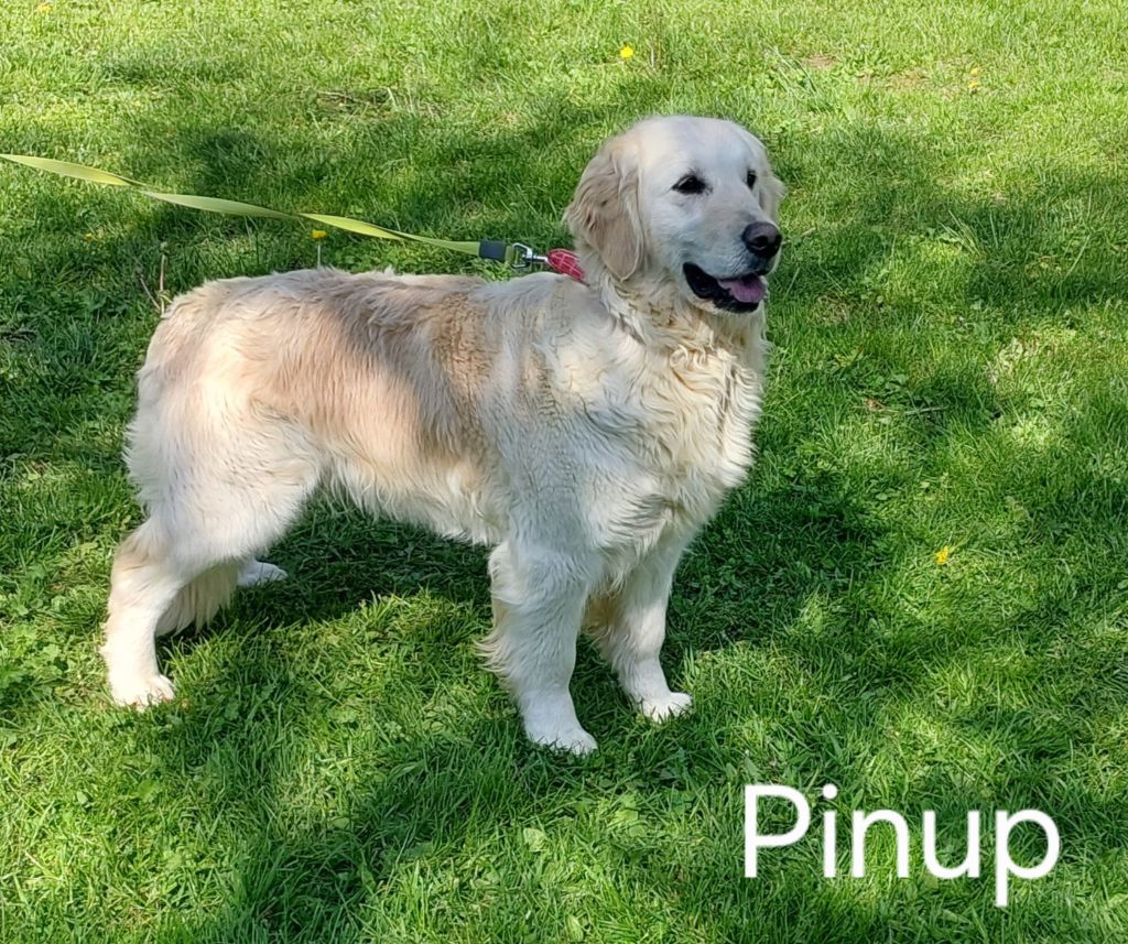 Pinup Du domaine des eurantes