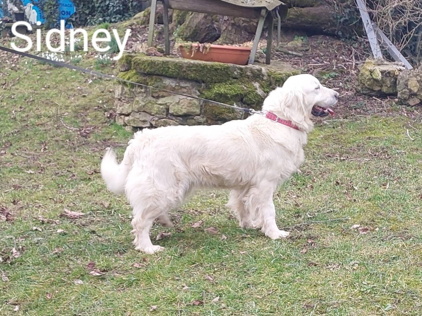 Sidney Du domaine des eurantes